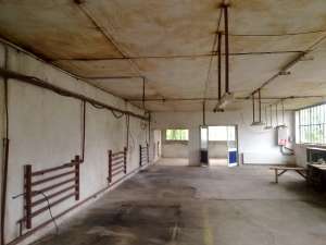 PROPRIETAR VAND HALA PRODUCTIE 300 MP+CASA MARE 300 mp, toate utilitatile