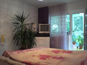 vand apartament ploiesti 3 cam mihai bravu