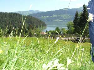 teren pe malul lacului Bicaz