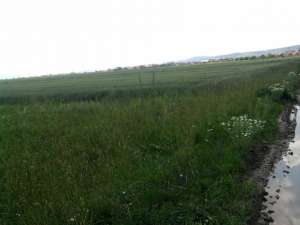 TEREN SFANTU GHEORGHE ZONA CHILIENI