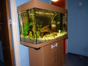 Acvariu Juwel RIO 125 cu mobilier si accesorii