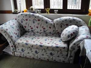 CANAPELE PIELE NATURALA SAU MATERIAL TEXTIL IMPORT GERMANIA