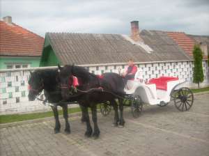 armasar de vanzare