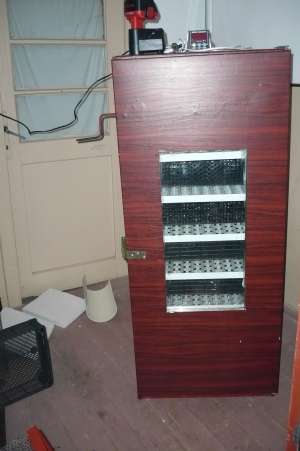 incubator oua