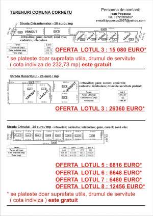 LOTURI DE CASA IN CORNETU