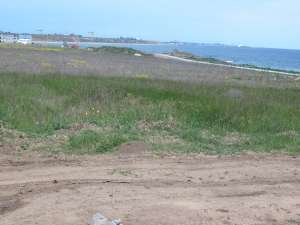 Teren pentru investitii in Vama Veche Constanta
