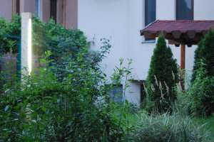 Corp luminat gradina