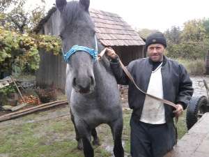 vand iapa si manz ! pentru detalii tel.0785043468