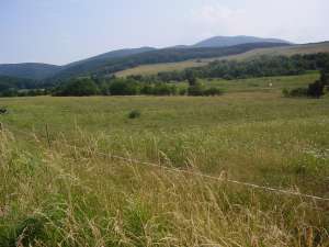 teren extravilan,   zona Crasnei