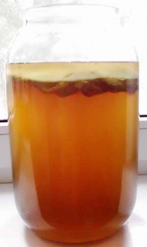 Vand KOMBUCHA