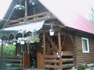 cabane din lemn
