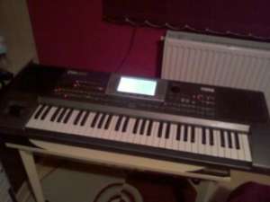 Vand Korg pa60
