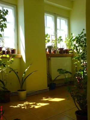Proprietar,          vand in Braila apartament 3 camere ultracentral