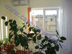 Apartament Navodari zona Peco 3 camere