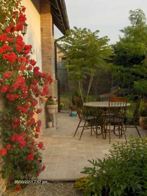 amenajare gradina1