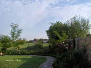 amenajare gradina1
