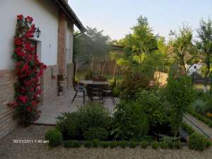 amenajare gradina1