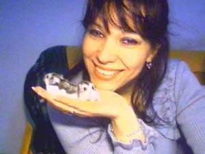vand pui hamsteri