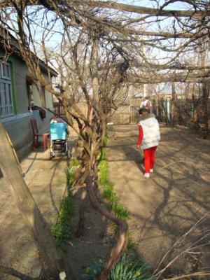 VAND CASA 4 CAMERE+TEREN LANGA SNAGOV 23000 E