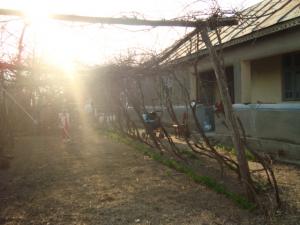 VAND CASA 4 CAMERE+TEREN LANGA SNAGOV 23000 E