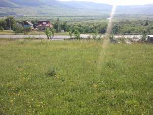 3500mp in crainimat