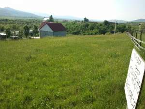 3500mp in crainimat