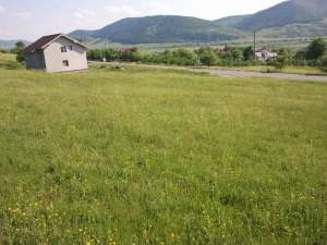 3500mp in crainimat