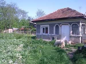 Casa cu teren 1000+10000 mp Branistea-Titu,  DB.