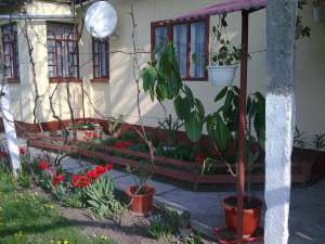 CASA DE VANZARE-SANMARTIN JUD ARAD