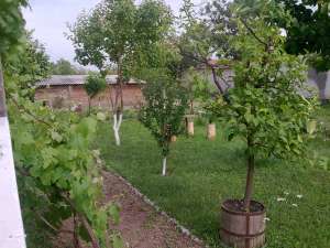 CASA DE VANZARE-SANMARTIN JUD ARAD