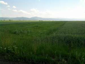 particular vand teren urgent