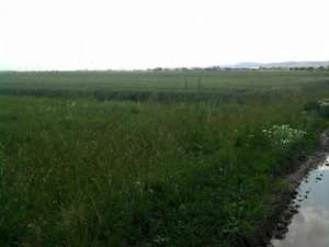 particular vand teren urgent