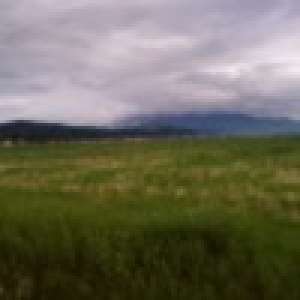 particular vand teren urgent
