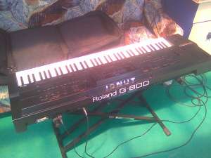 vand roland g800