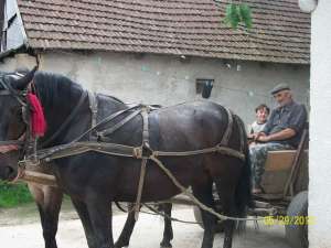 vand o pereche