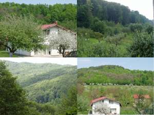 Vand vila munte 5755 mp teren plat cca1h30min din Bucuresti