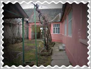Vand casa in Santana jud.Arad
