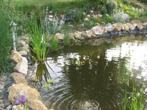 Folie lac iaz pvc pret de la 6 ron-mp oferta sezonului 2011 folie EPDM si HDPE