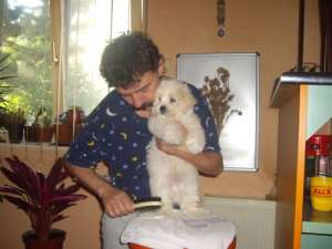 Monta  Bichon