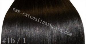 Extensii .din par. natural cu cheratina 2 ron buc