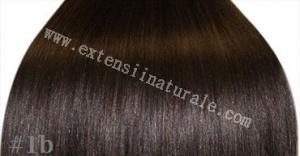 Extensii .din par. natural cu cheratina 2 ron buc