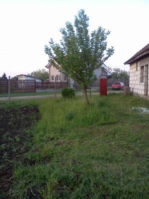 CASA IN ROSU