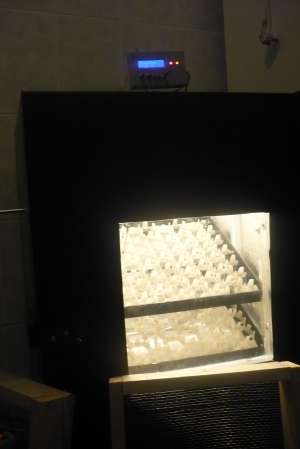 incubator