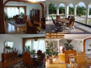 vand Palat-Conac-Vila-Casa in stil colonial,  Bihor,  E60