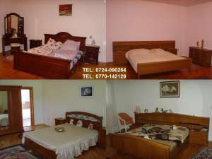 vand Palat-Conac-Vila-Casa in stil colonial,  Bihor,  E60
