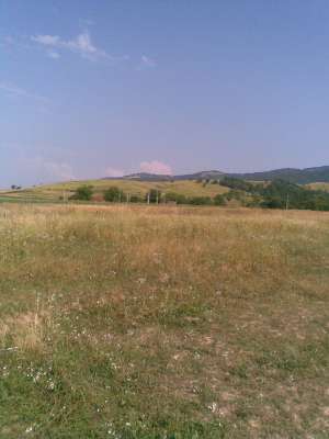 Vand anunt