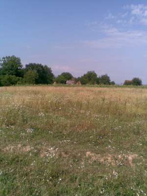 Vand anunt