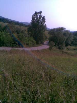 Vand anunt