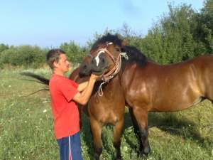 vand iapa