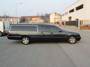 DRICURI IMPORT ITALIA
